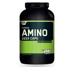 Optimum Nutrition Amino 2222 300caps