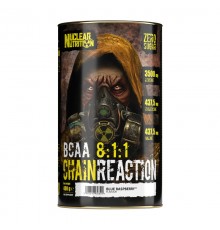 Nuclear Nutrition Chain Reaction BCAA 8:1:1 400 g питайя