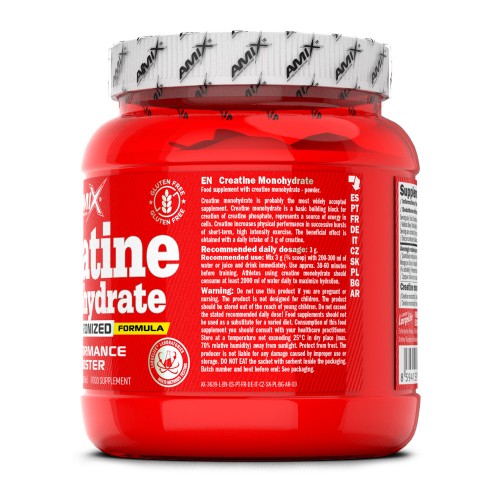 Amix Creatine monohydrate 300 г