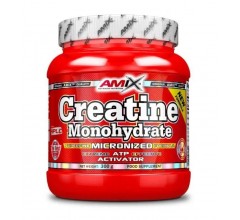Amix Creatine monohydrate 300 г