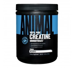 Universal Nutrition Animal Micronized Creatine Monohydrate Powder 300 g