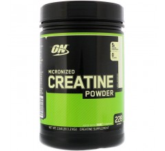 Optimum Nutrition Creatine Powder 1200г