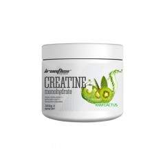 Ironflex Creatine Monohydrate 300g киви-кактус