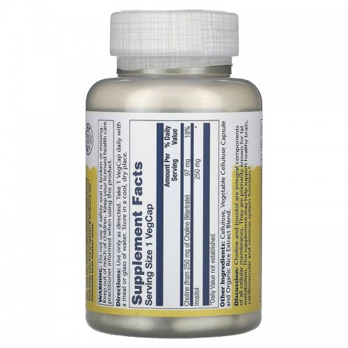 Solaray Choline Inositol 100 vegcaps