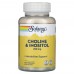 Solaray Choline Inositol 100 vegcaps