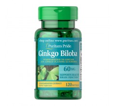 Puritans Pride Ginkgo Biloba Standardized Extract 60 mg 120 Softgels